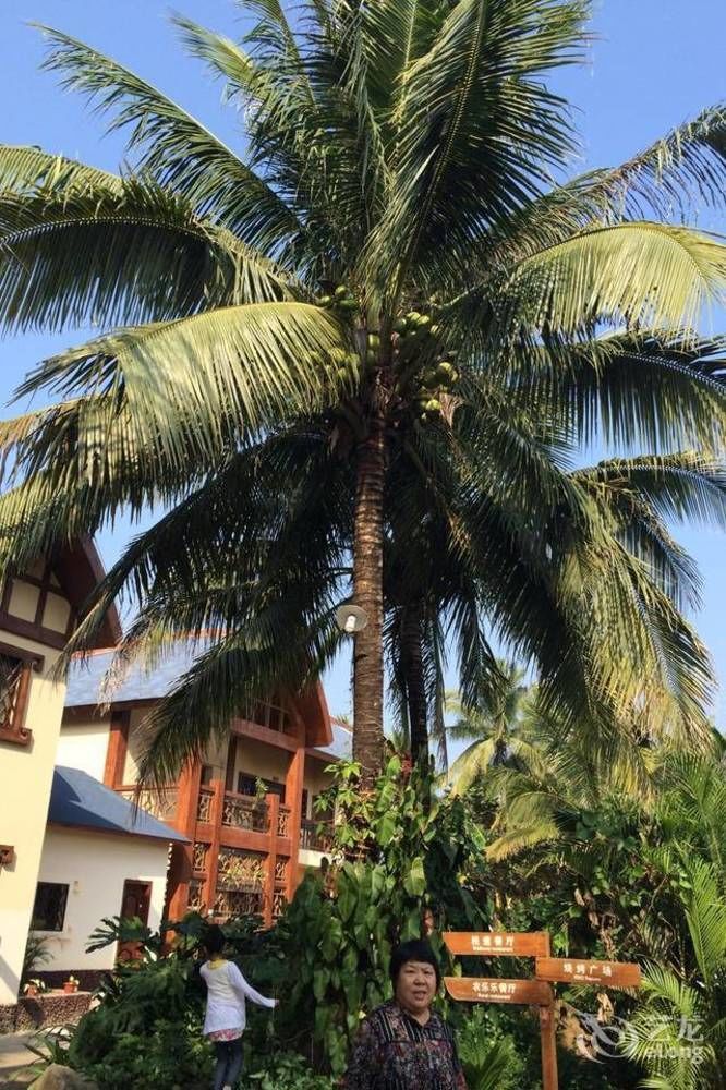Hainan Bulongsai Resort Hotel Baoting Екстериор снимка